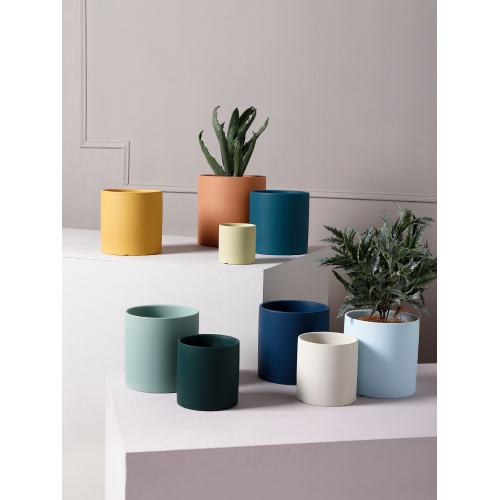Small Ceramic Pots For Plants