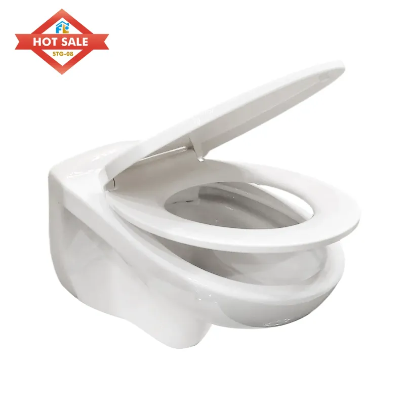 Wall Hung Toilet Bowl