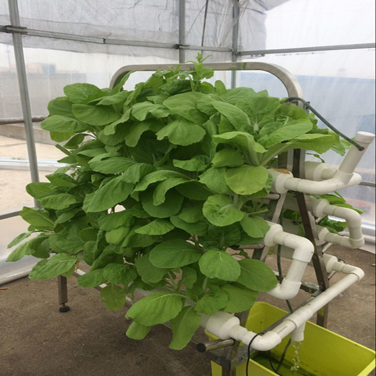 High quality hydroponic trays system for strawberry