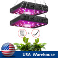 600W Epistar LED Grow Light för inomhusväxter