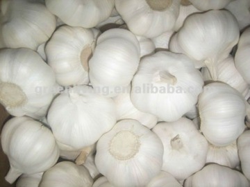 vacuum packed peeled garlic