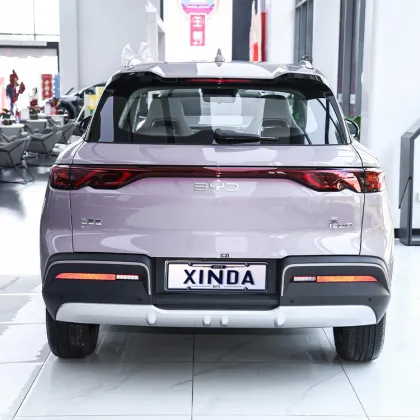 China Electric Brand New Smart Pro Vehicle: BYD Yuan UP