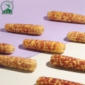 Fakty dotyczące odżywiania ekstraktu kukurydzy