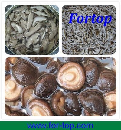 New Crop Canned Shiitake Mushroom for Russian CS-006