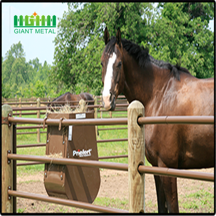 Livestock panels horse fence