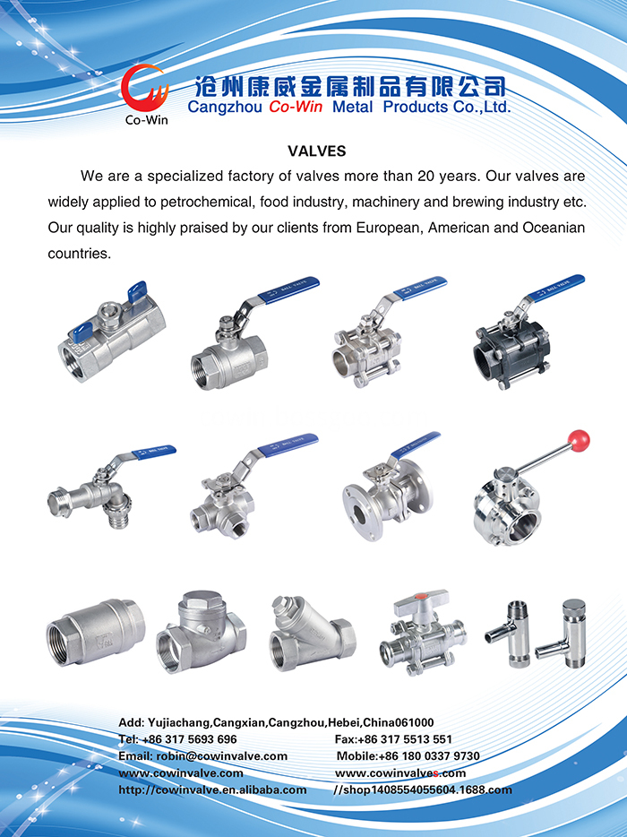 stainless steel valves