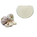 Product Garlic Extract Powder Garlic Allicin