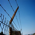 Anti-theft Fence Barbed Wire Double Strand Spot Goods