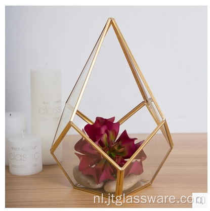 Planten Glas Terrarium Geometrisch Pentagon Varen Mos