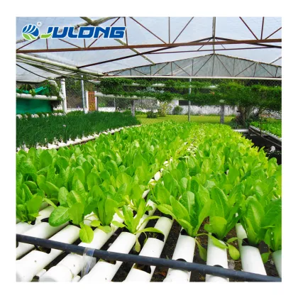 Vertical Farming PVC Tube NFT Pipes Hydroponics System