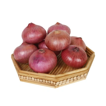 Fresh Red Onions Bulk Packing 20kg Mesh Bag - China Onion, Fresh Onion