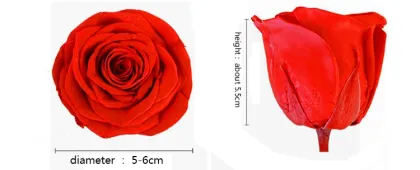 2022 New Product Ideas: Preserved Eternal Flower Rose Heads for Girlfriend