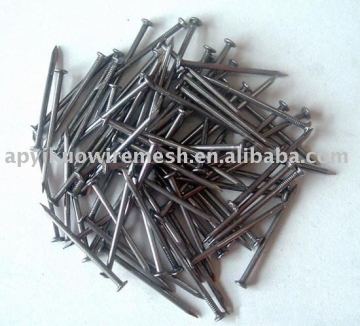 common iron nail