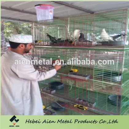 pigeon cage