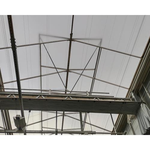 Butterfly Full Length Window Glass Greenhouse