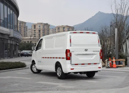 Hongyuan EM60 EV: Electric Mini Vans and Cargo Vans