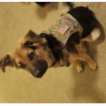 Service Dog Vest Training Hunting Harness