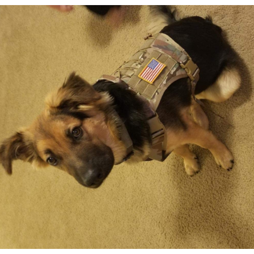 Service Dog Vest Training Hunting uprząż