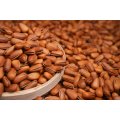 280g Deep Frying Open Pine Nuts