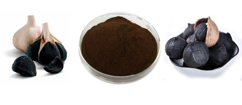 Black Garlic Extract Powder 2