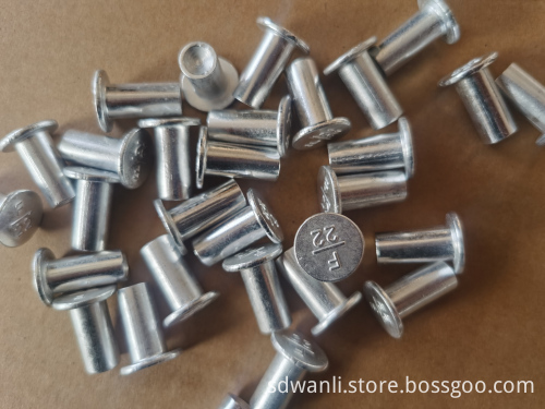 Customizable M4-M20 304 Stainless Steel Hollow Rivets - National Standard Carbon Steel Semi-Circular Head