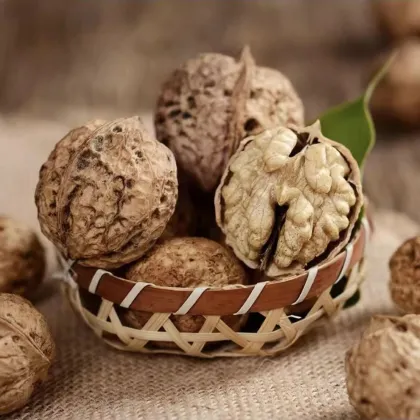 Yunnan Water-Washed Walnut Fruit