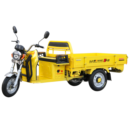 Adult Open Cargo 3 Wheel Electric Tricycle