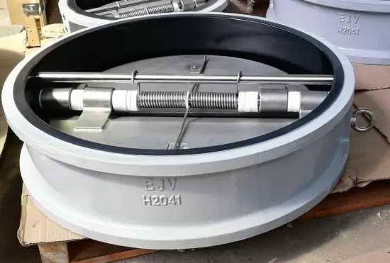 DN600 PN6 Dual-plate check valve