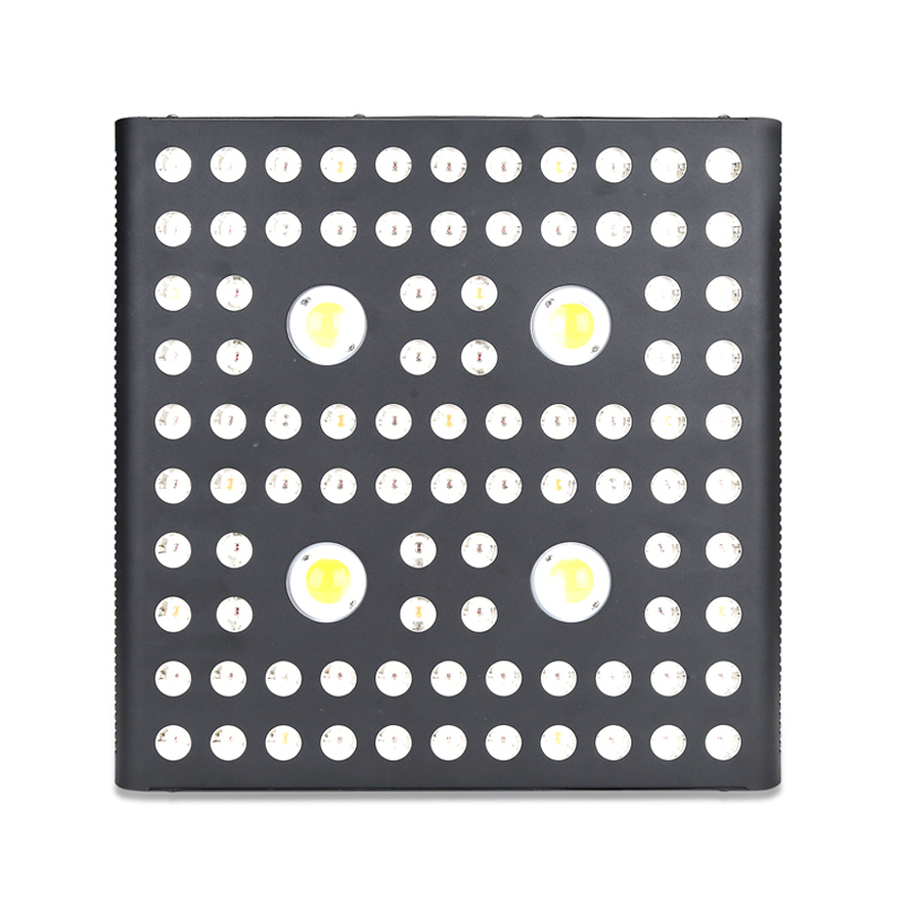 Aranha de canal duplo COB LED ervas crescem luz