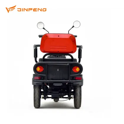 China Electric Three Wheeler: Tuk Tuk, Adult Pedicab, and E-Rickshaw Tricycles