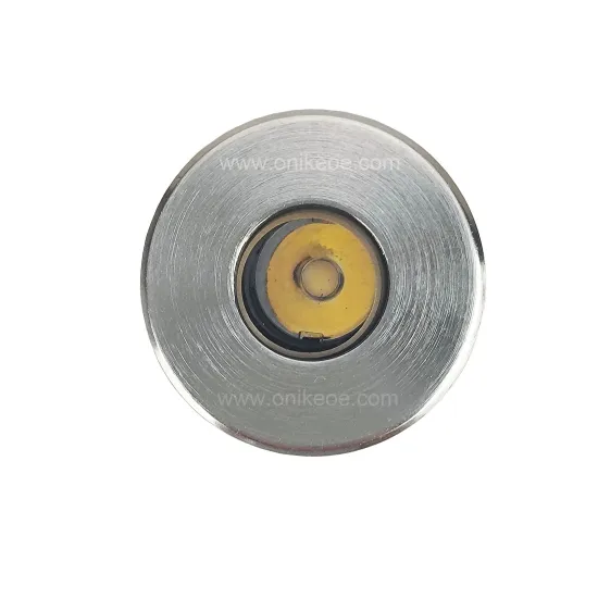 IP67 IK10 316L Stainless Steel 2.5W AC/DC12V LED Inground Light