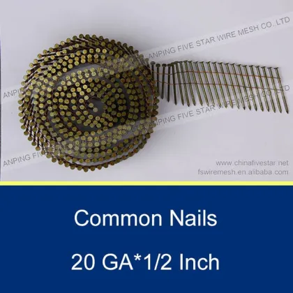 golden coated coil roofing nail