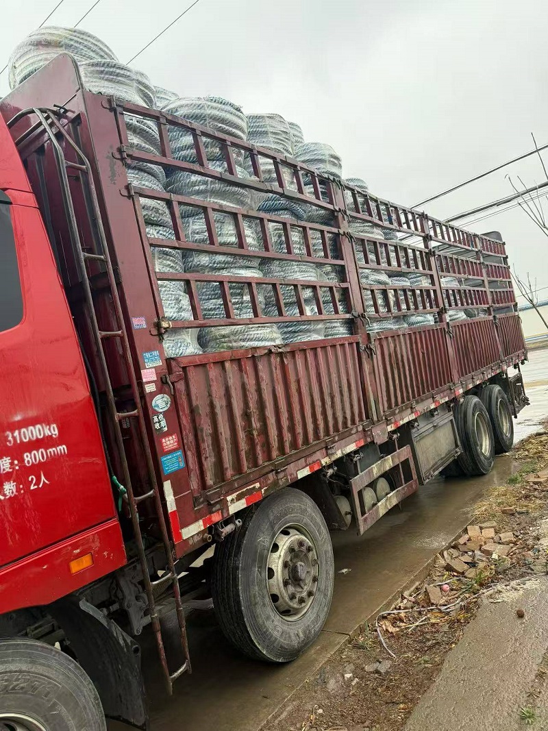 Rislife 40-foot Container Truck Loaded with Customized Motorcycle Tires Shipped to Paraguay, Further Expanding its Latin American Market!