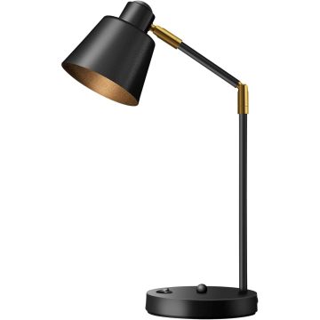 Dual USB LED Desk Lamp 3000K Metal Swivel Reading