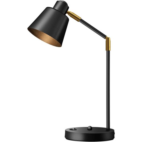 Dual USB LED Desk Lamp 3000K Metal Swivel Reading