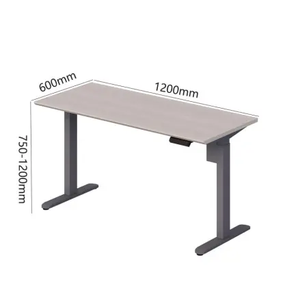 Adjustable Height Electric Lift Desk - Home Computer Lifting Table