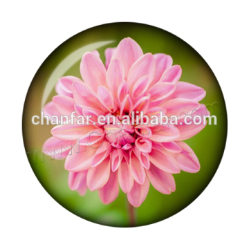 High quality metal surround snap button charms jewelry for leather jewelry (12mm,18mm)