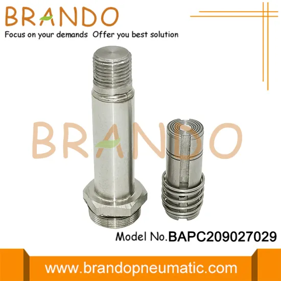 2 Way Solenoid Valve Stainless Steel Armature Repair Kit