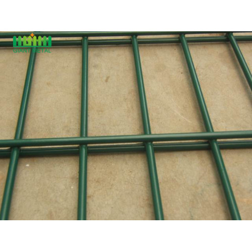 PVC Coated Double Horizontal Wire Mesh