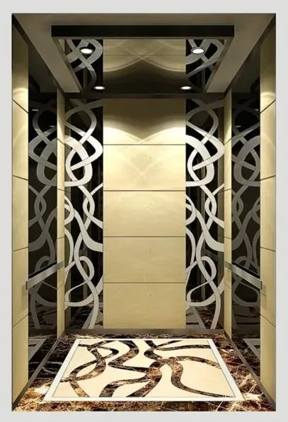 2020 Hot Sale Stainless Steel Gearless Home Lift Passenger Elevator Without Machine Room
