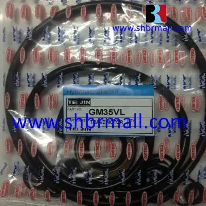 Travel Motor TeiJin Seiki GM35VL Seal Kits: Comprehensive Search Engine