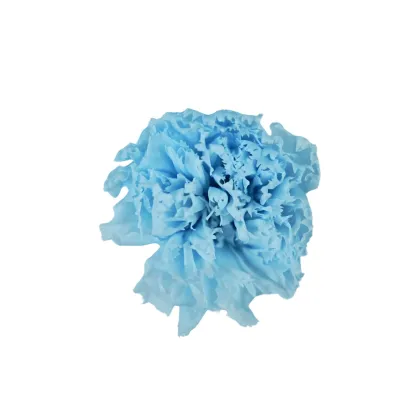 Everlasting Carnation Flower Head - Red Preserved Carnation for Mother's Day