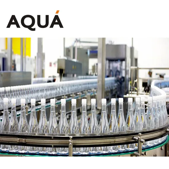 Mini Water Production Company Setup: Small Investment Water Bottling Line