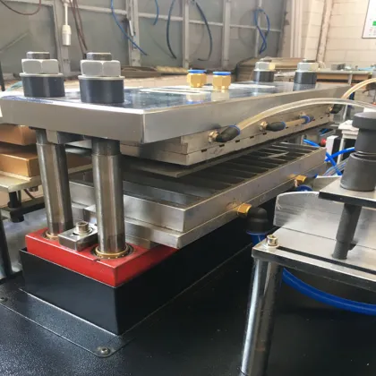 Automatic Plastic Thermoforming Vacuum Packaging Machines for Food & Beverage Factories