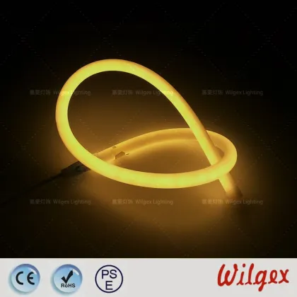Round Neon flex light