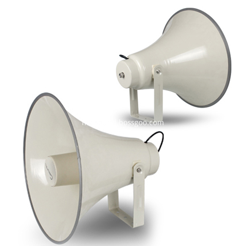 Horn