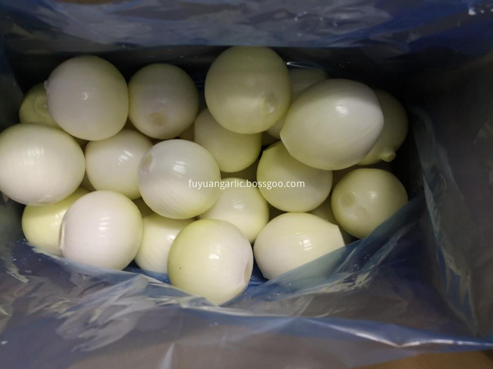 Peeled Yellow Onion 3