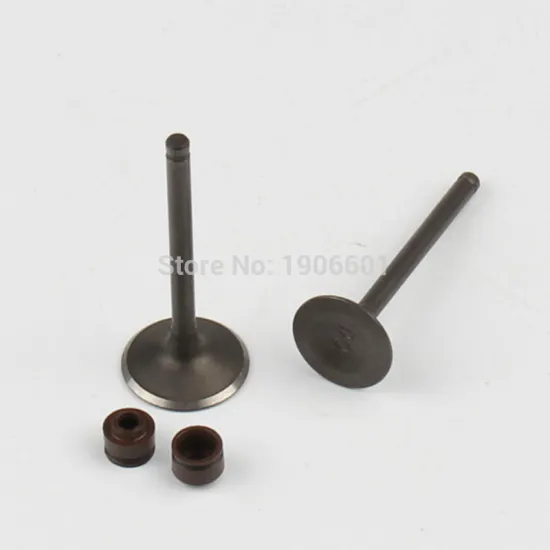 YinXiang engine parts YX140 Valve Oil Seals and Valve set Cylinder Head Valve Kit Engine spare parts