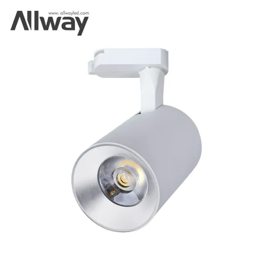ALLWAY Cob Iron Track Lighting Rail Showroom: Selecting 10W, 20W, and 30W LED Spotlight Options for Your Space