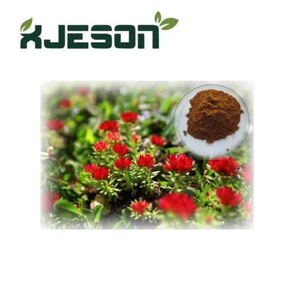 High Quality Rhodiola Rose Extract